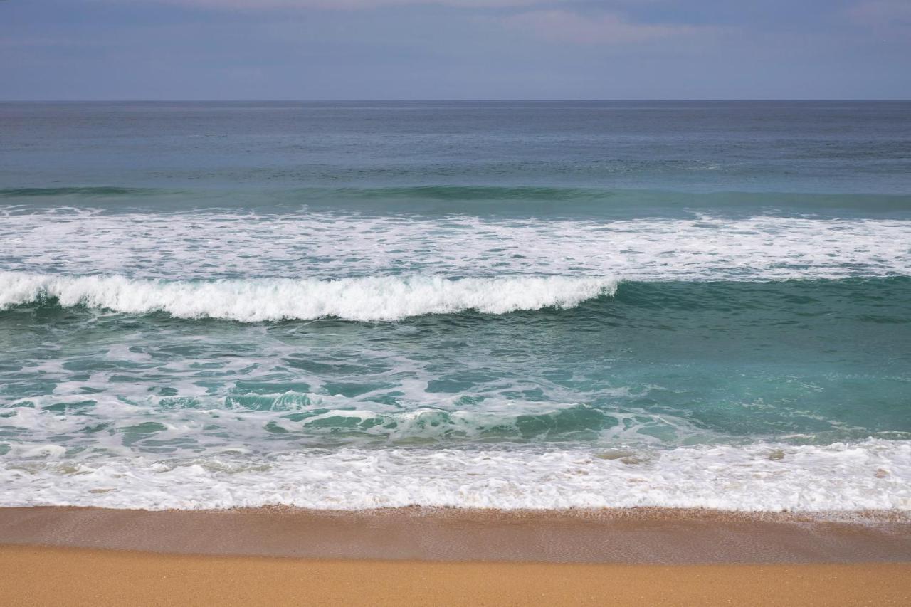 Apart@Costasantoandre Beach Santiago do Cacém Exterior photo