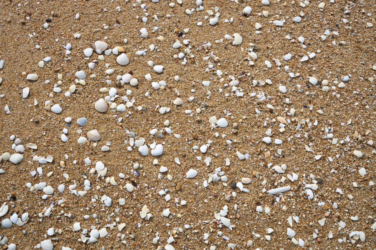 Apart@Costasantoandre Beach Santiago do Cacém Exterior photo