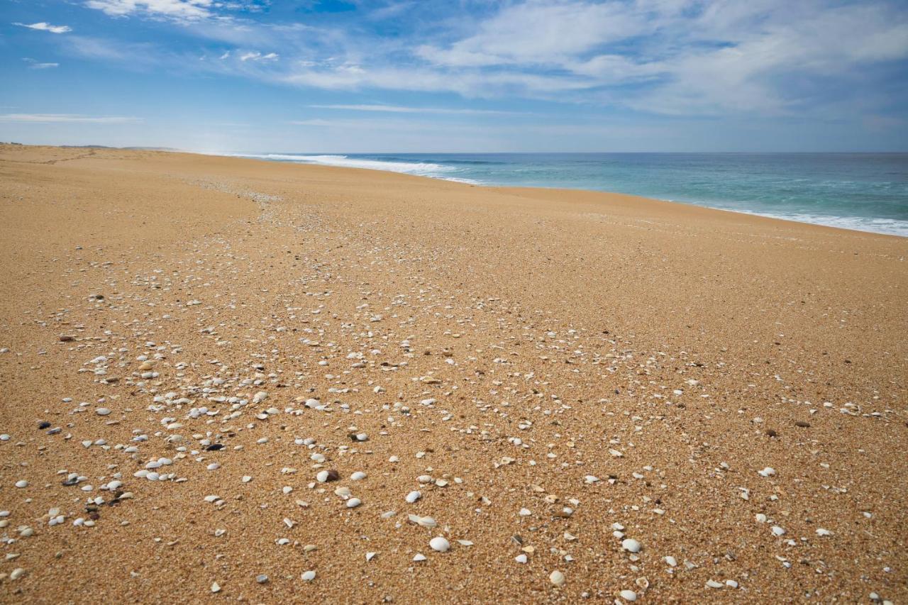 Apart@Costasantoandre Beach Santiago do Cacém Exterior photo